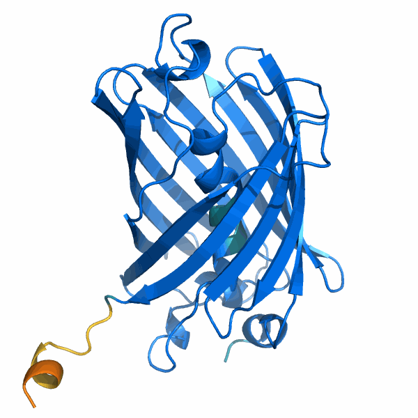 AI models demonstration